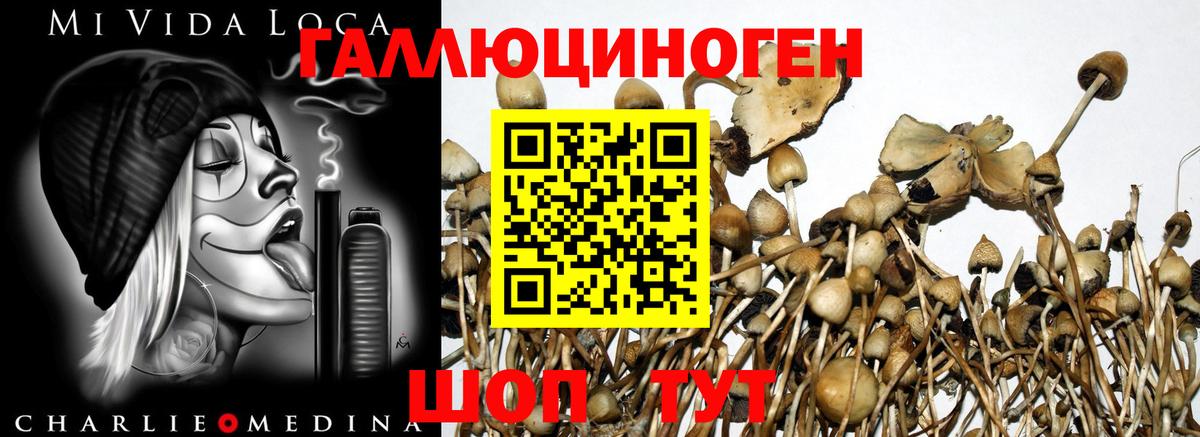 Псилоцибиновые грибы GOLDEN TEACHER  Псилоцибиновые грибы ЛСД  как найти закладки  Вход с VPN  Артём 